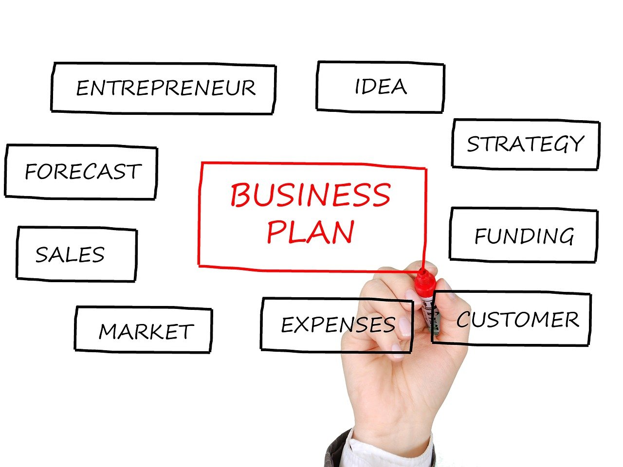 Startup Business Plan Service